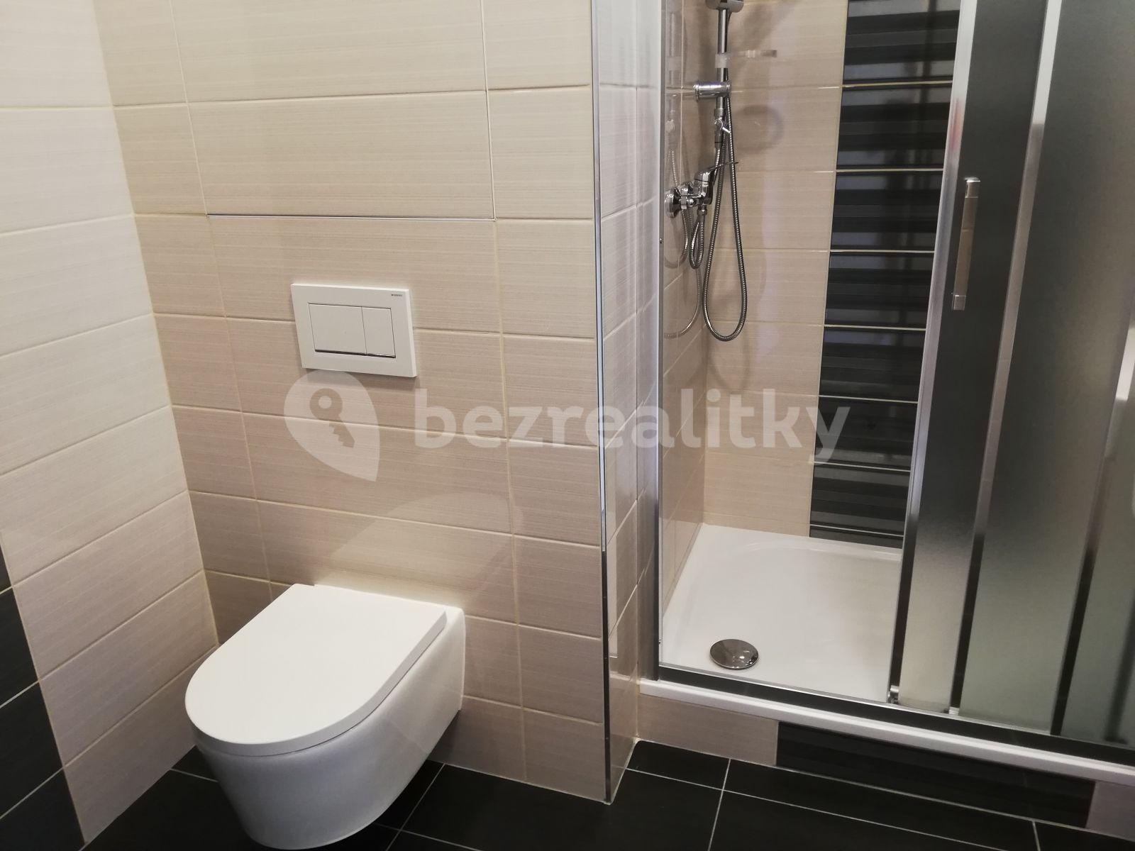 2 bedroom flat to rent, 43 m², Tererova, Prague, Prague