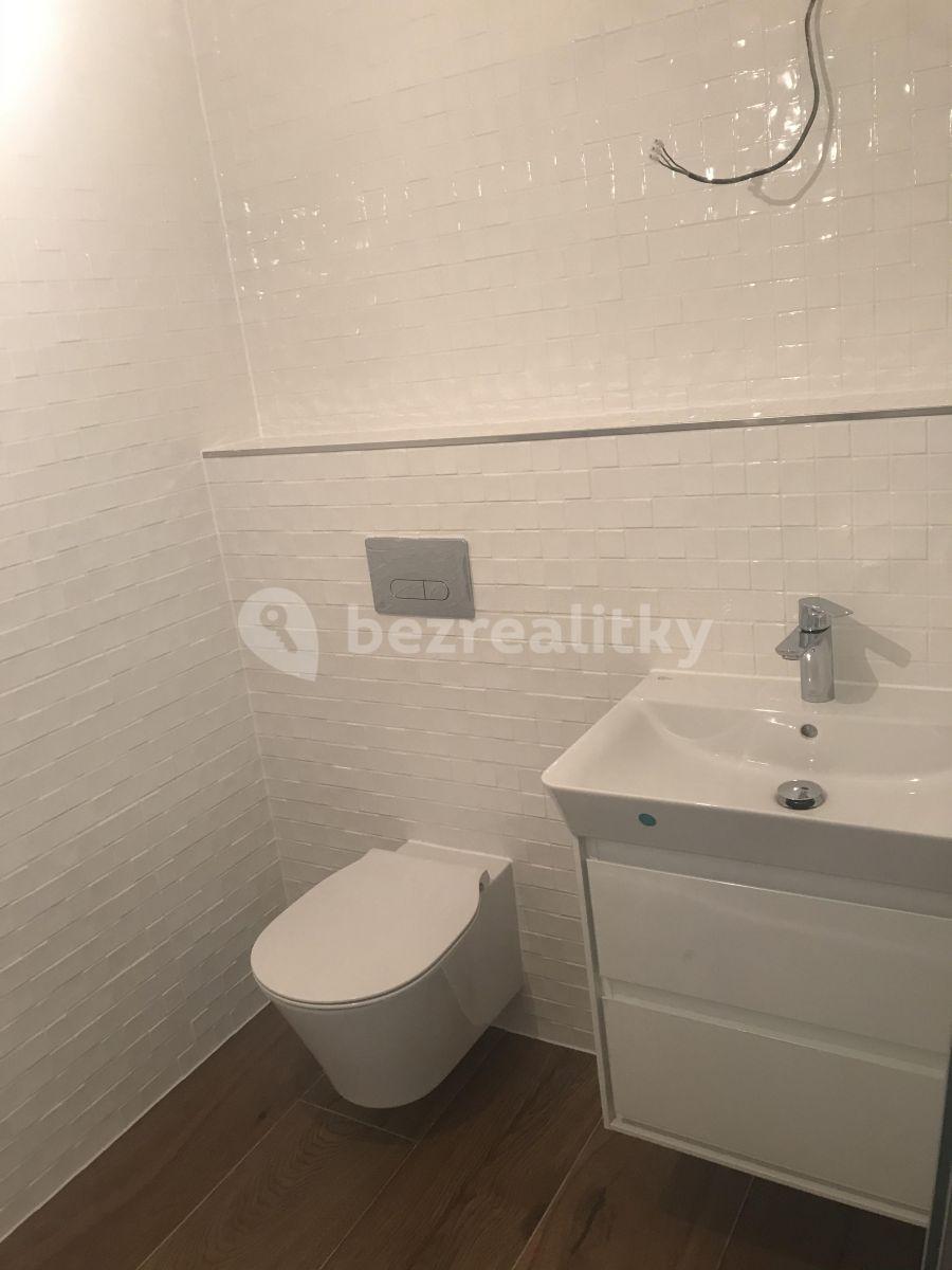 1 bedroom with open-plan kitchen flat to rent, 49 m², Na Šibeníku, Olomouc, Olomoucký Region