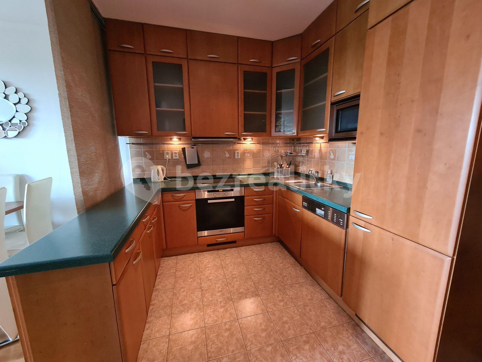 1 bedroom with open-plan kitchen flat to rent, 71 m², Lužná, Prague, Prague