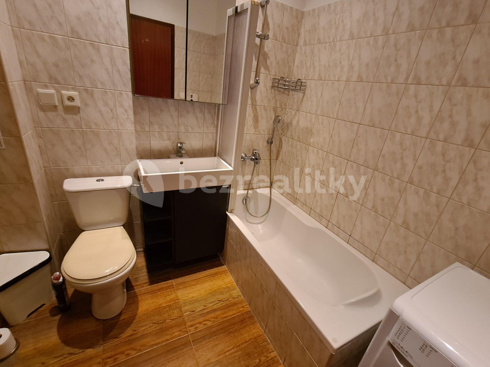 1 bedroom with open-plan kitchen flat to rent, 71 m², Lužná, Prague, Prague