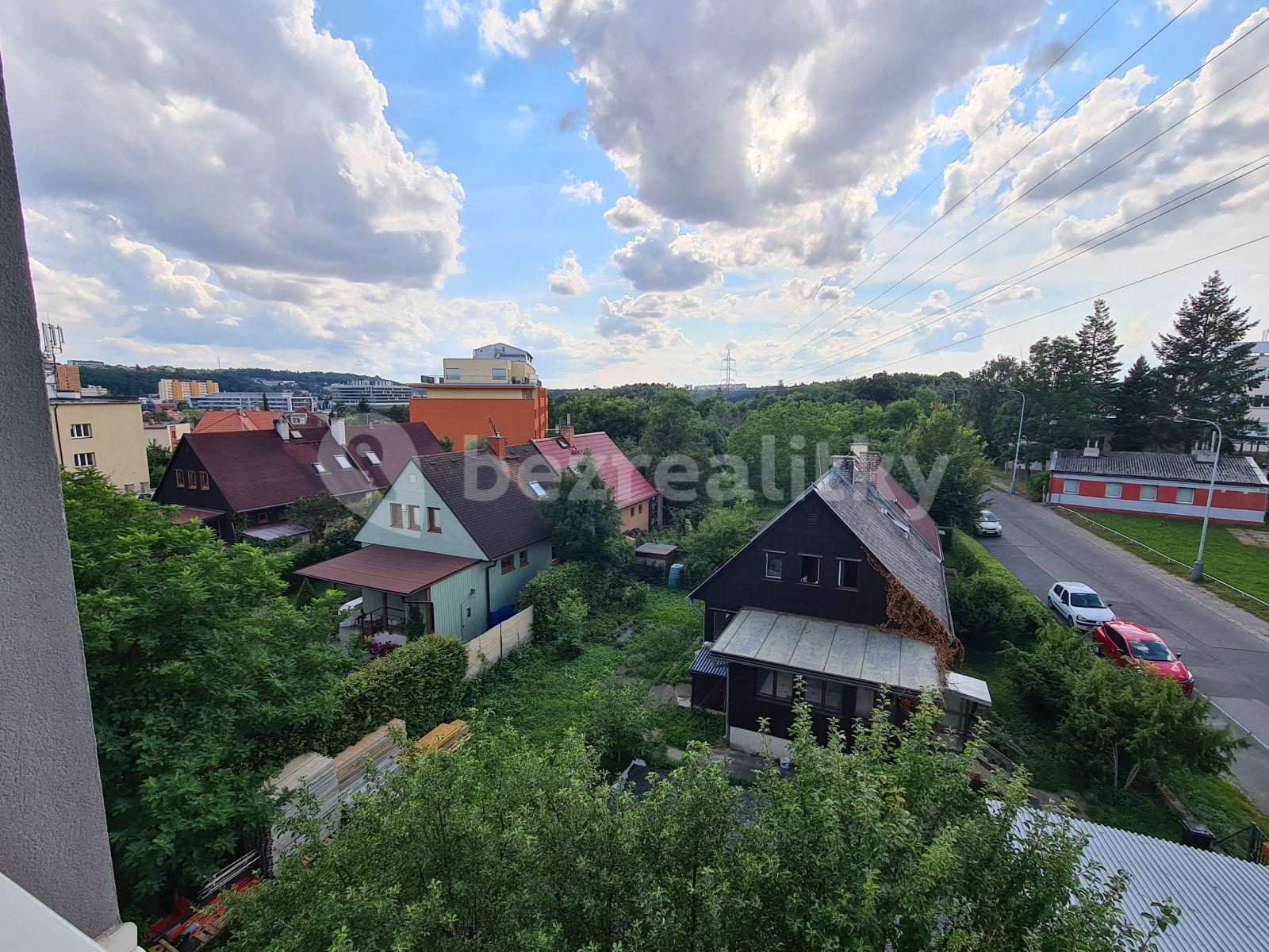 1 bedroom with open-plan kitchen flat to rent, 71 m², Lužná, Prague, Prague