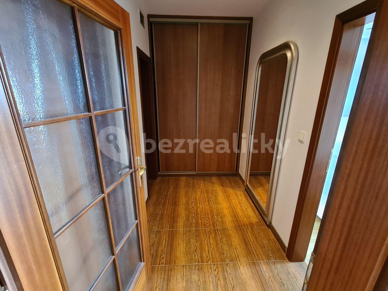 1 bedroom with open-plan kitchen flat to rent, 71 m², Lužná, Prague, Prague