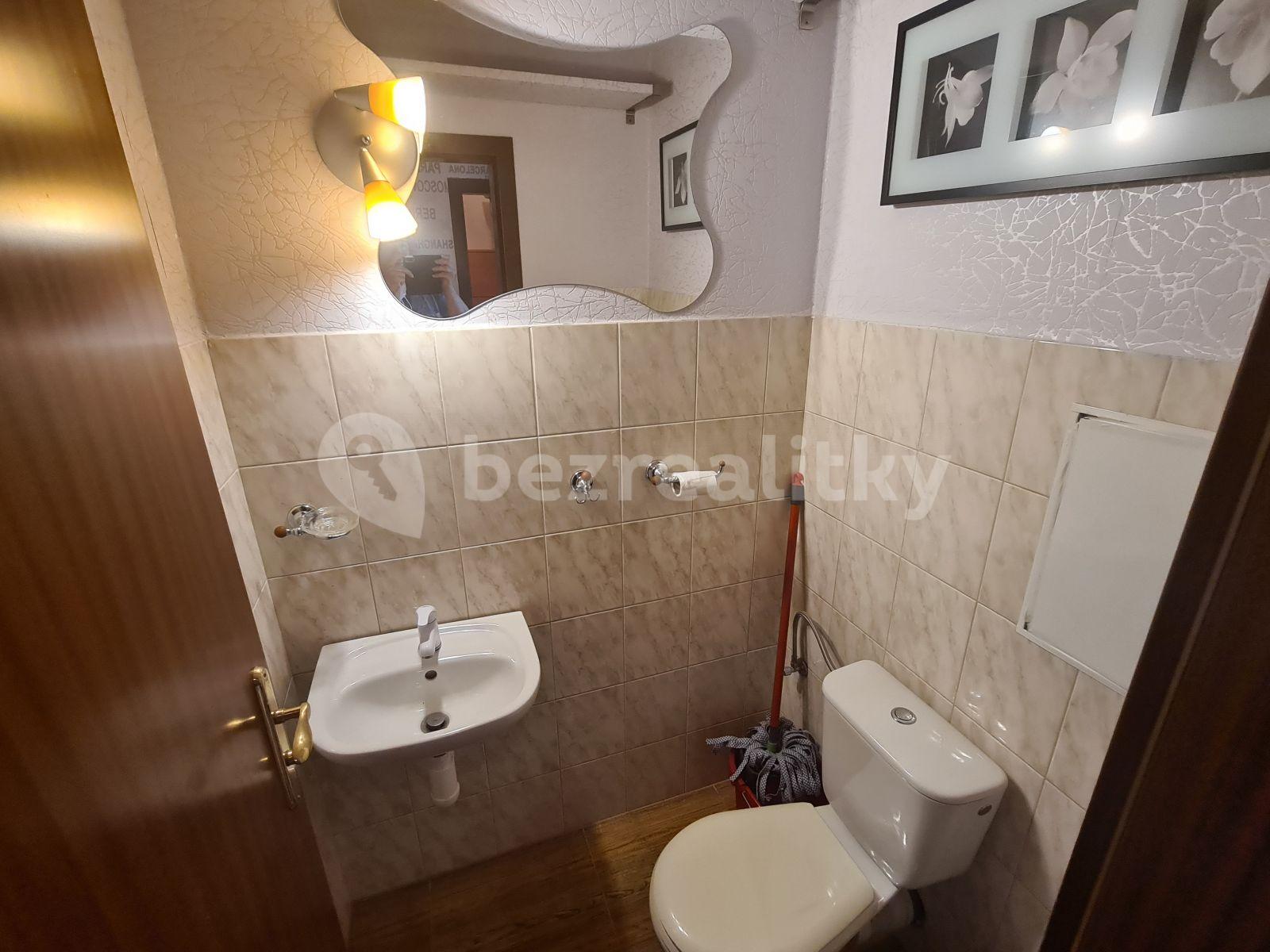 1 bedroom with open-plan kitchen flat to rent, 71 m², Lužná, Prague, Prague