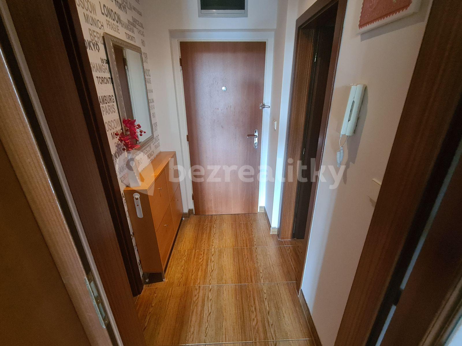 1 bedroom with open-plan kitchen flat to rent, 71 m², Lužná, Prague, Prague