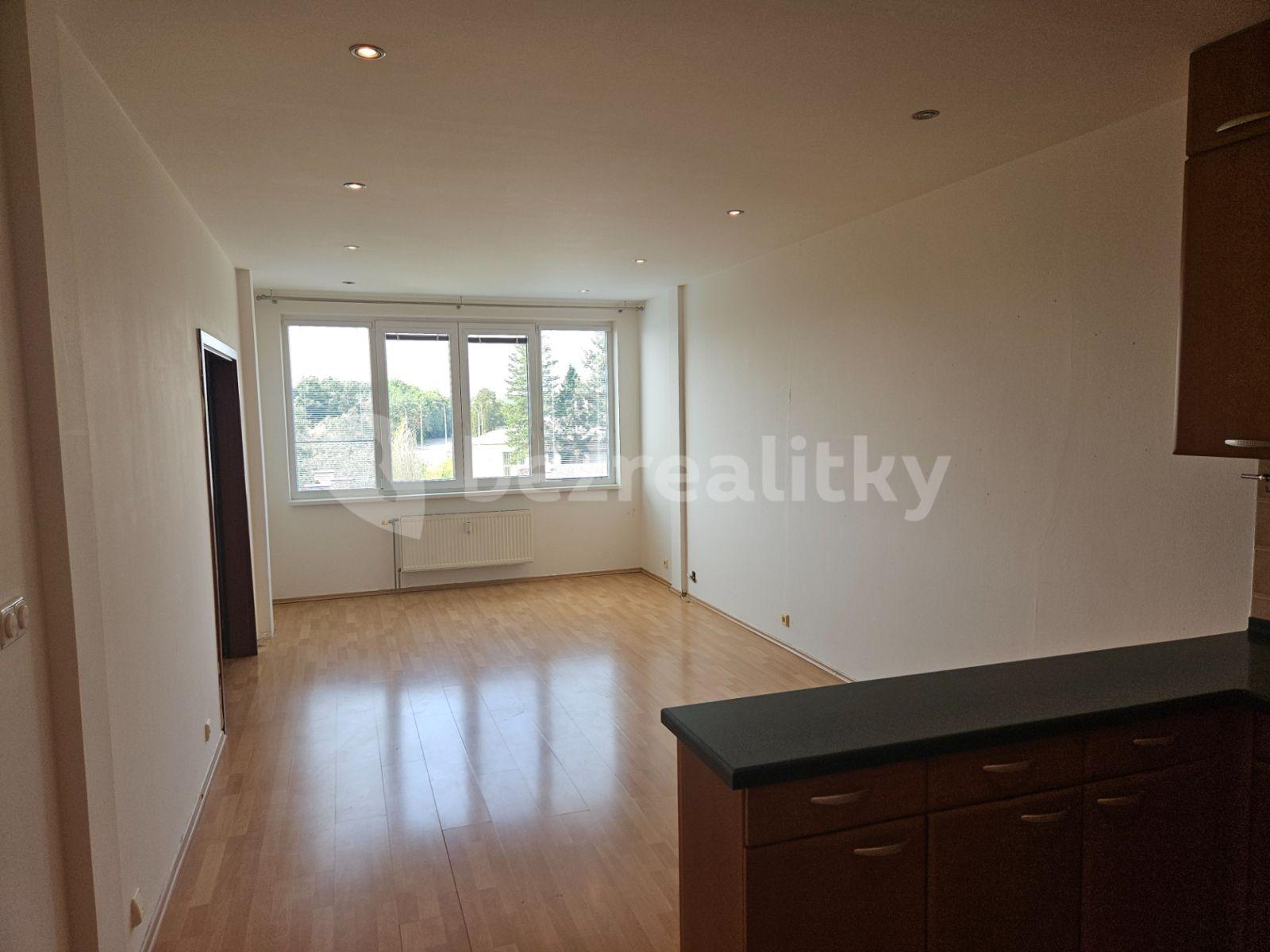 1 bedroom with open-plan kitchen flat to rent, 71 m², Lužná, Prague, Prague