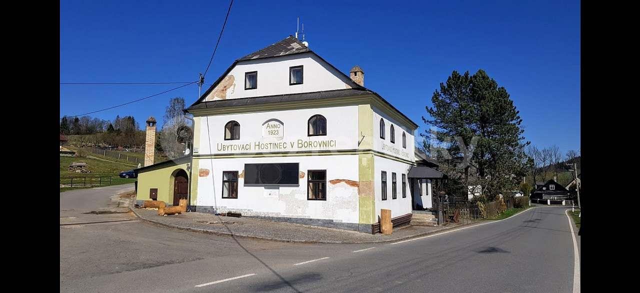 recreational property to rent, 0 m², Borovnice, Vysočina Region