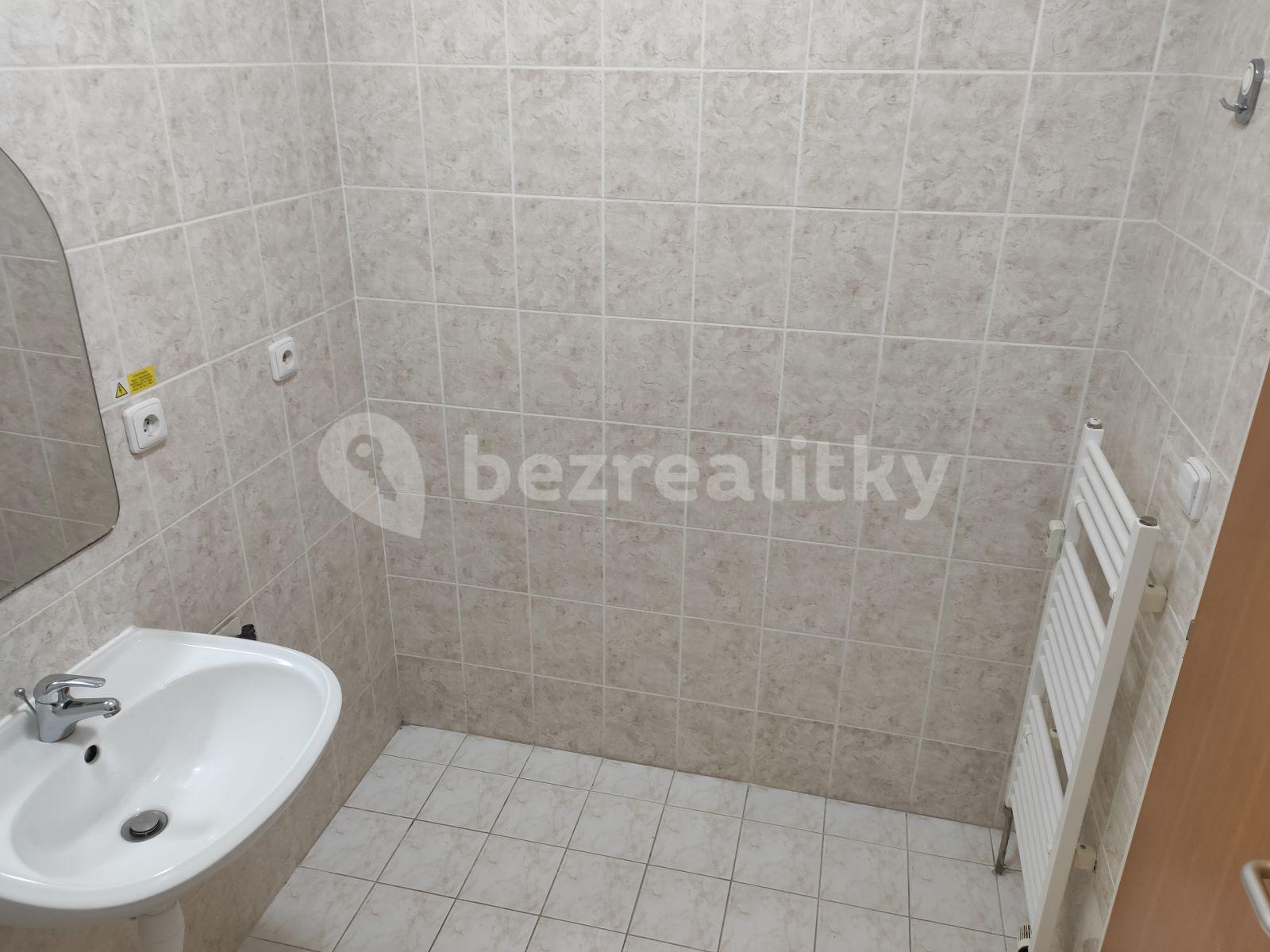 1 bedroom with open-plan kitchen flat to rent, 57 m², Bratří Dohalských, Prague, Prague