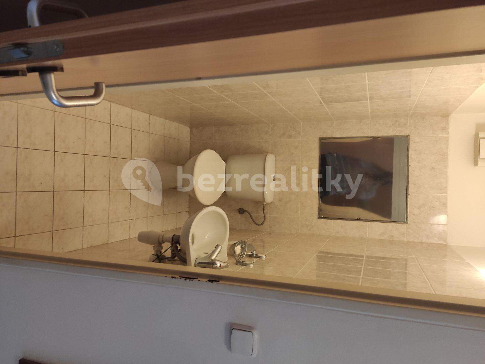 1 bedroom with open-plan kitchen flat to rent, 57 m², Bratří Dohalských, Prague, Prague