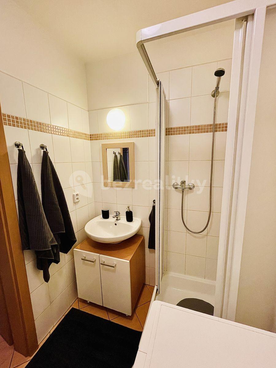 Studio flat to rent, 34 m², V Újezdech, Brno, Jihomoravský Region