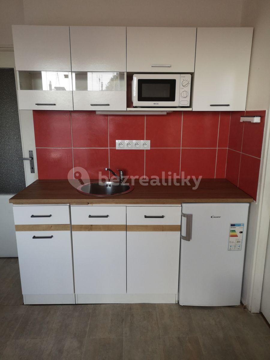 1 bedroom with open-plan kitchen flat to rent, 33 m², Brixiho, Prague, Prague