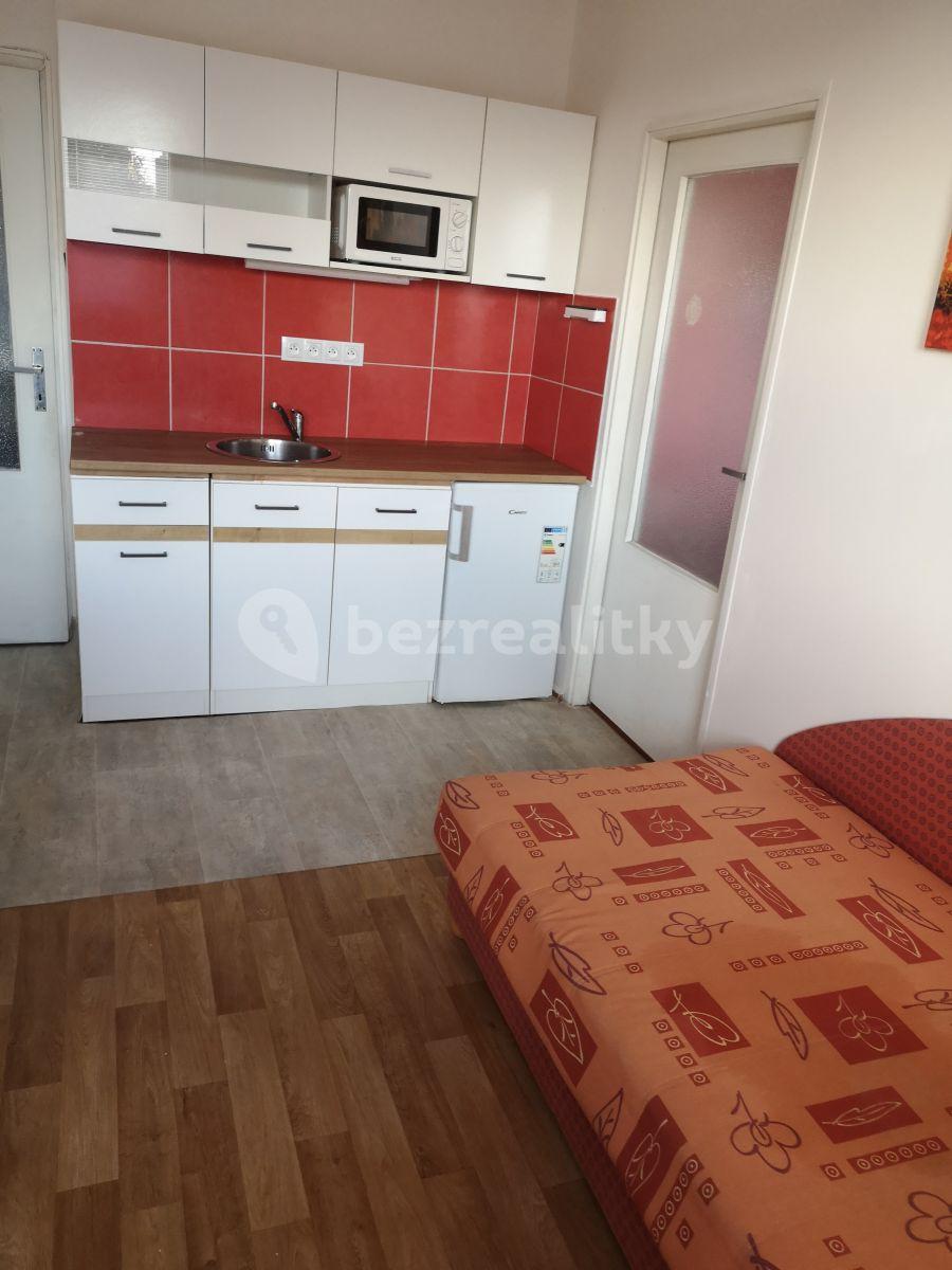 1 bedroom with open-plan kitchen flat to rent, 33 m², Brixiho, Prague, Prague