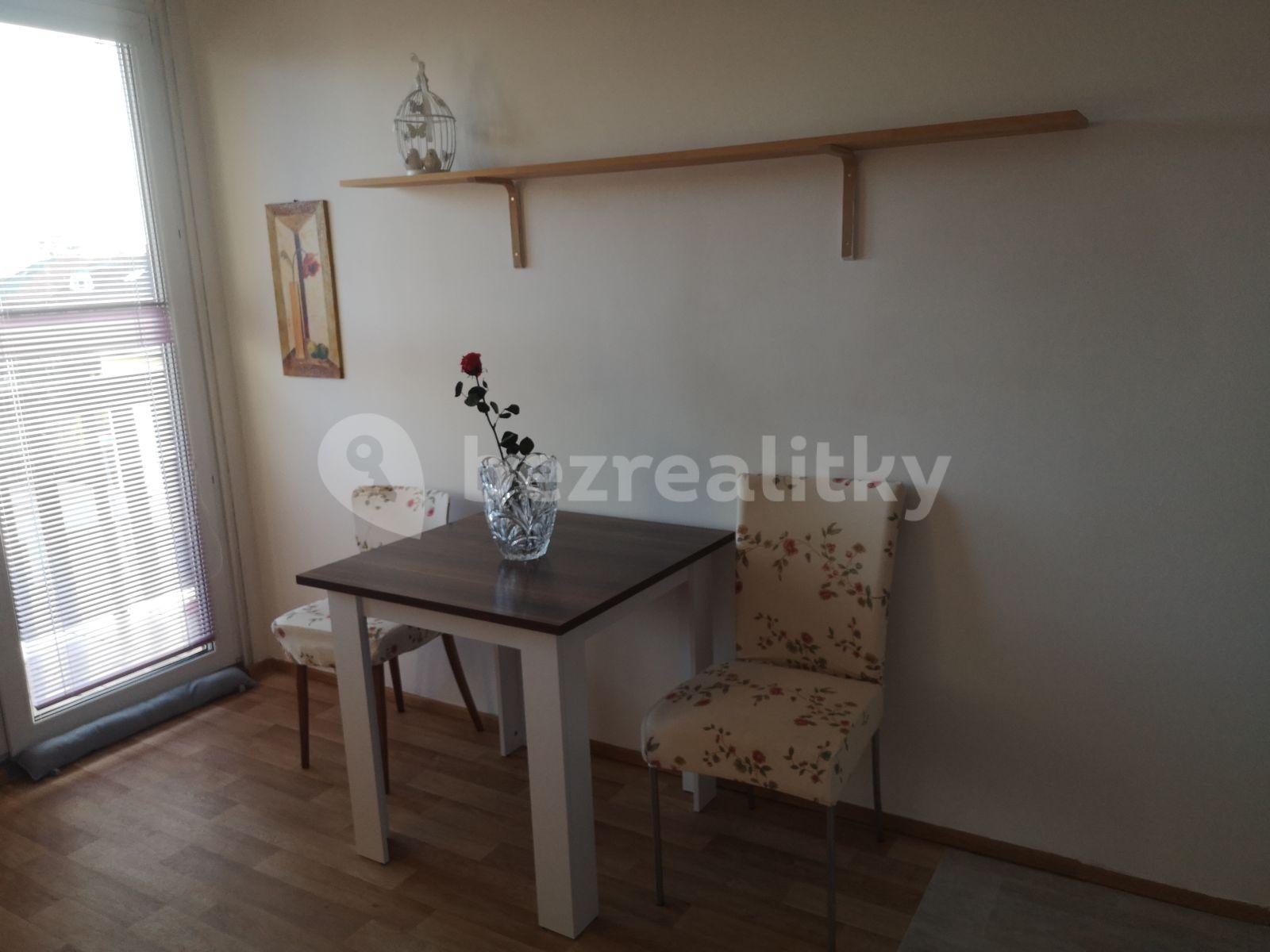 1 bedroom with open-plan kitchen flat to rent, 33 m², Brixiho, Prague, Prague