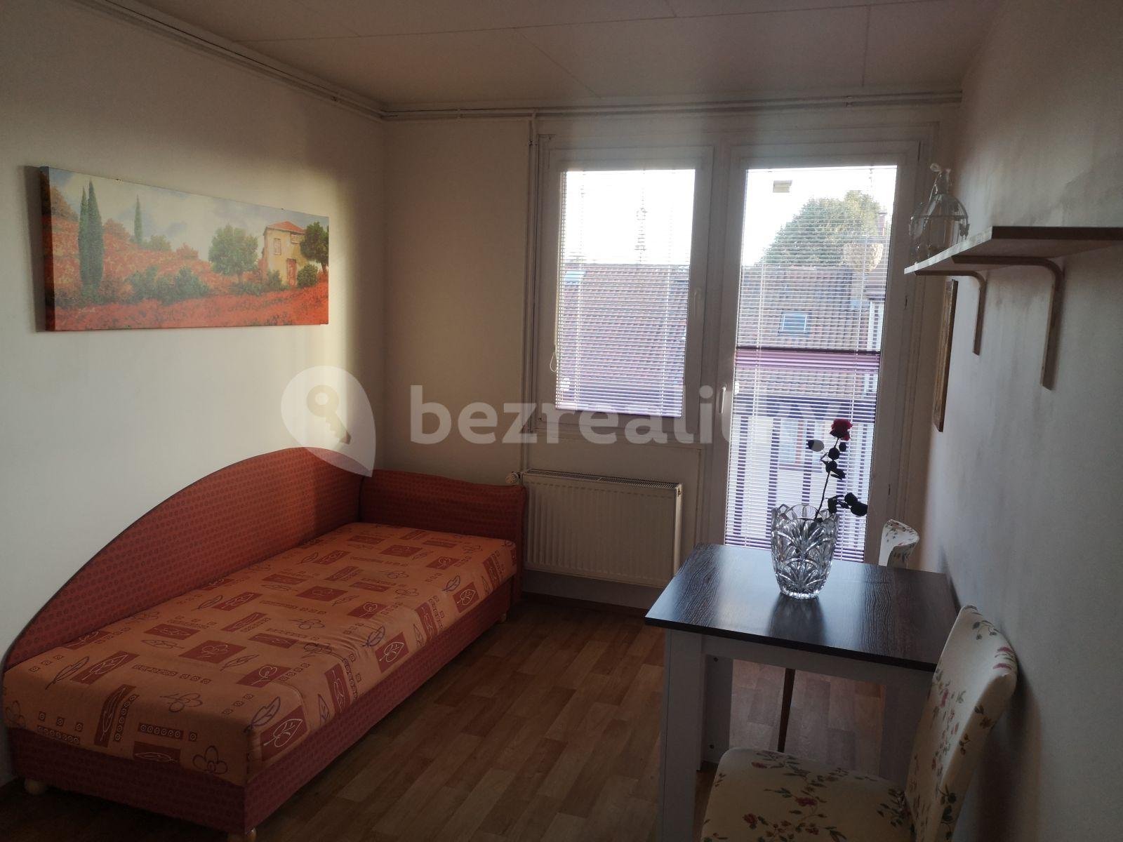 1 bedroom with open-plan kitchen flat to rent, 33 m², Brixiho, Prague, Prague