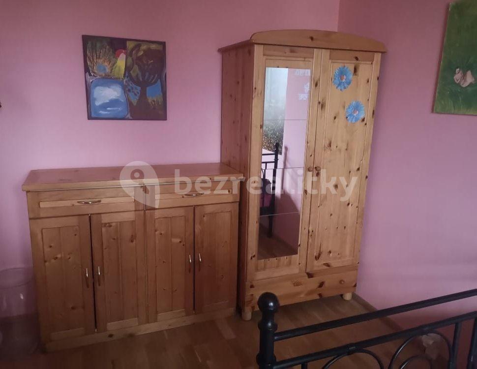 1 bedroom with open-plan kitchen flat to rent, 33 m², Brixiho, Prague, Prague