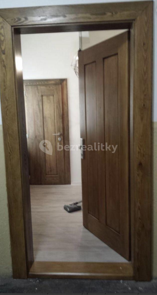 1 bedroom with open-plan kitchen flat to rent, 49 m², Bořivojova, Prague, Prague