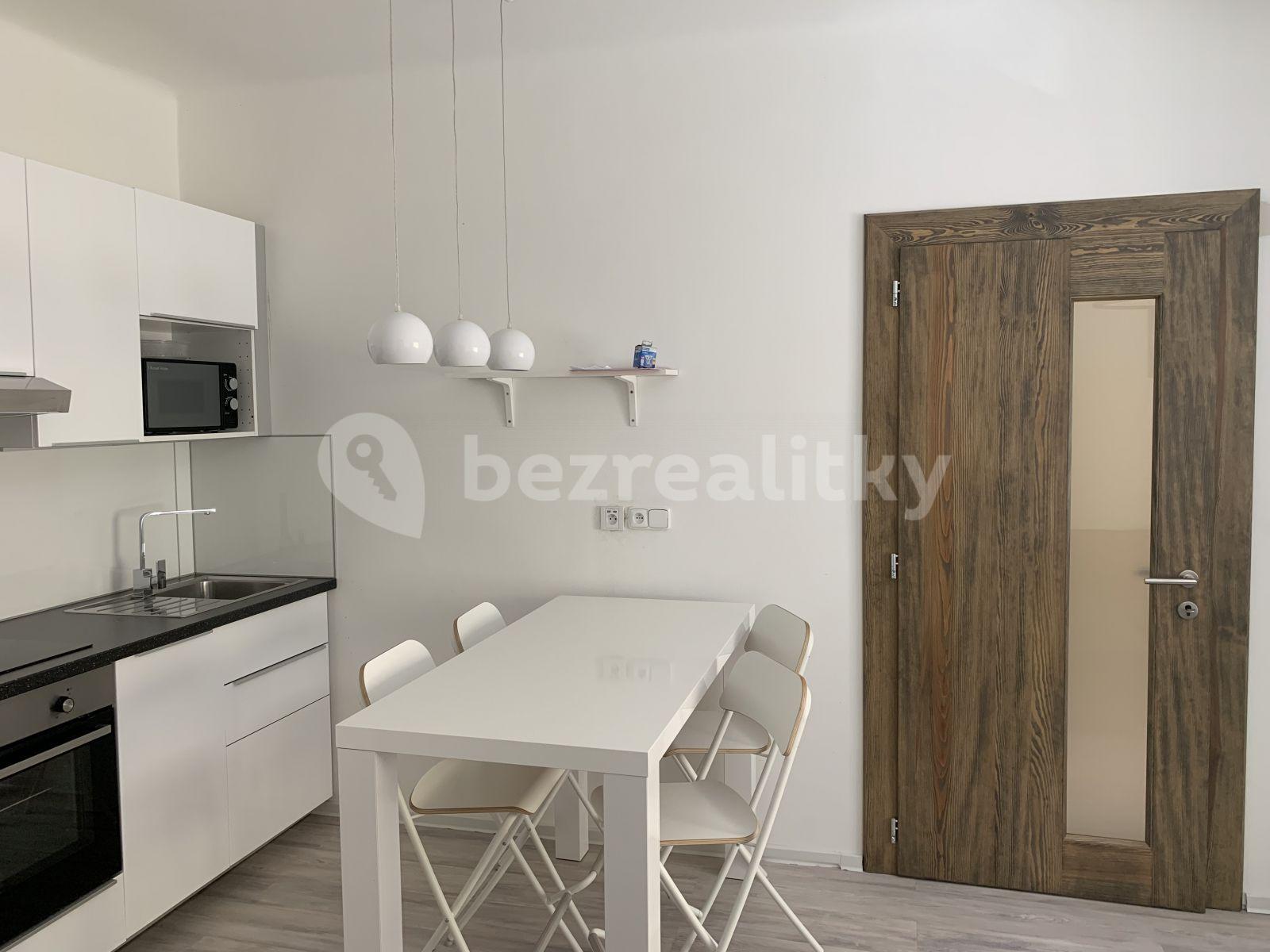 1 bedroom with open-plan kitchen flat to rent, 49 m², Bořivojova, Prague, Prague