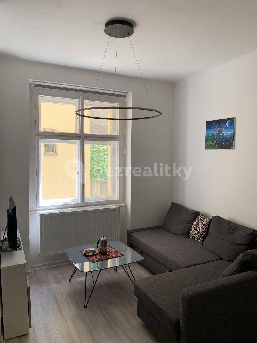 1 bedroom with open-plan kitchen flat to rent, 49 m², Bořivojova, Prague, Prague