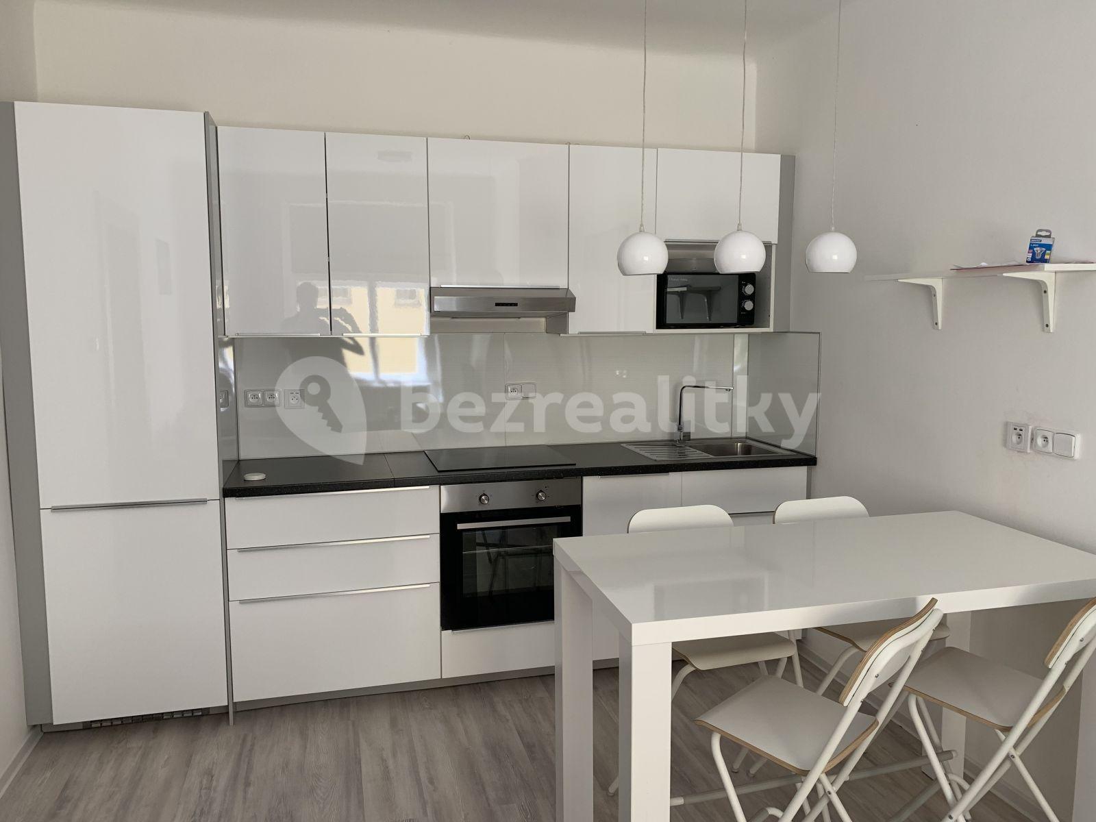 1 bedroom with open-plan kitchen flat to rent, 49 m², Bořivojova, Prague, Prague