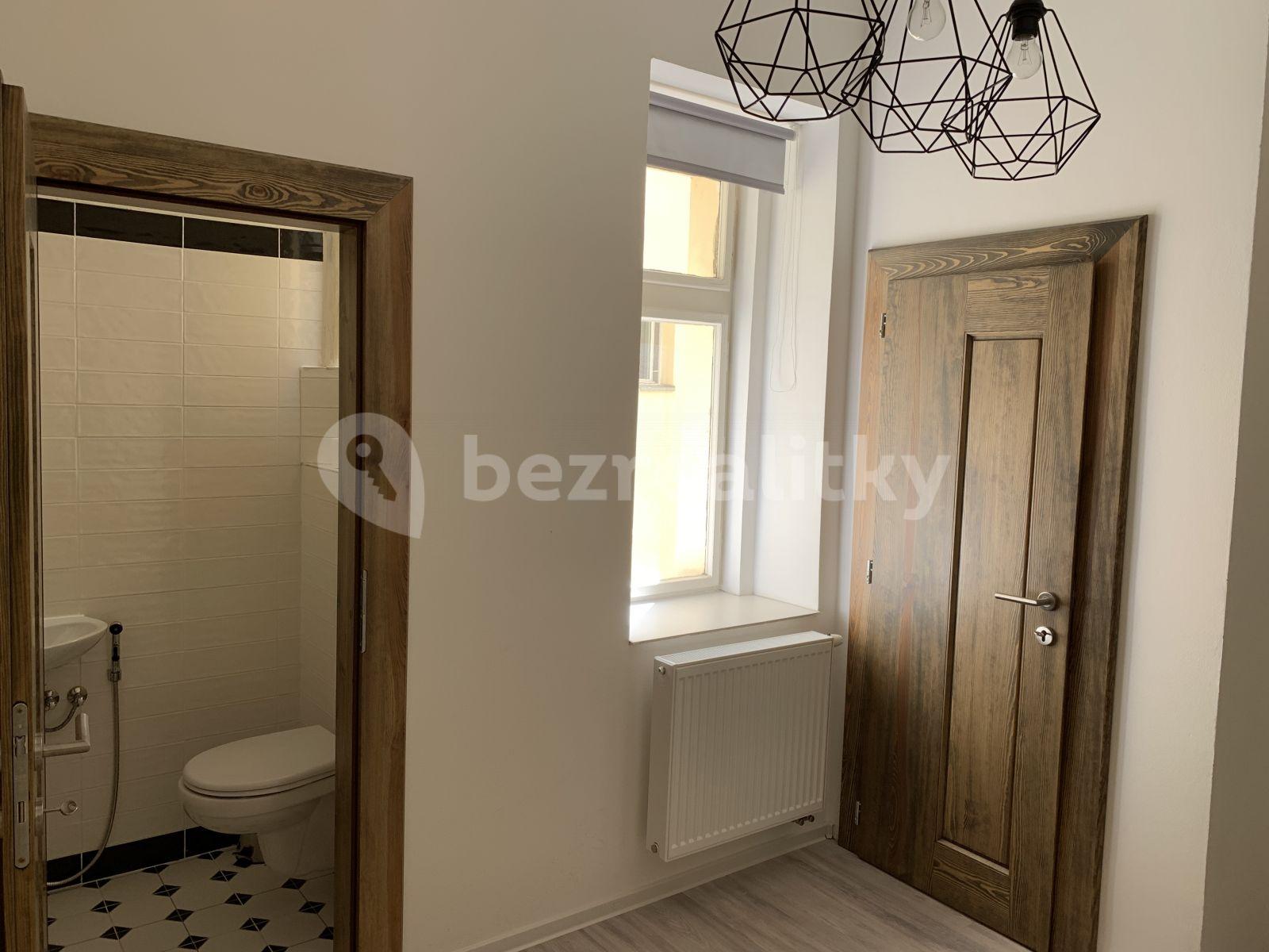 1 bedroom with open-plan kitchen flat to rent, 49 m², Bořivojova, Prague, Prague