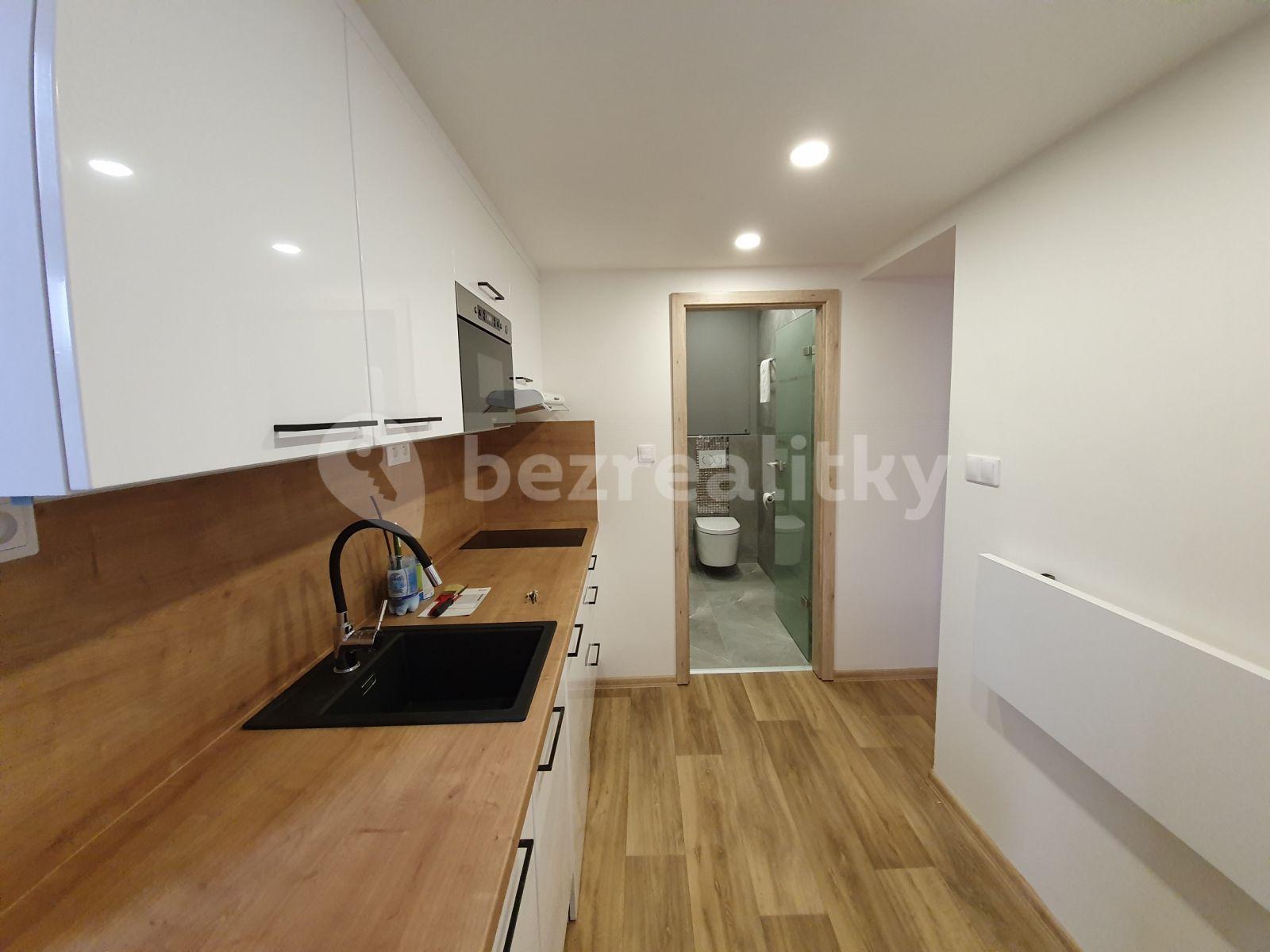 1 bedroom flat to rent, 32 m², Ostrovského, Prague, Prague