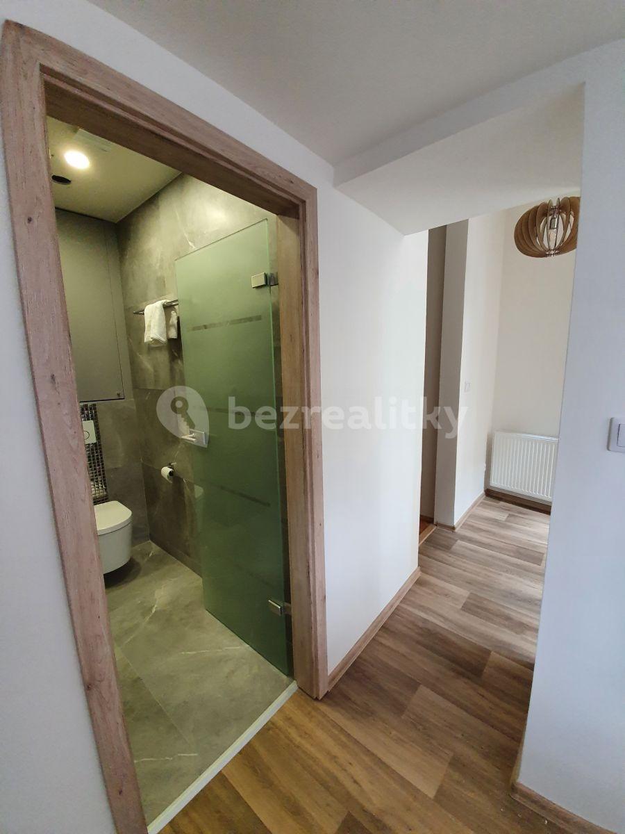 1 bedroom flat to rent, 32 m², Ostrovského, Prague, Prague