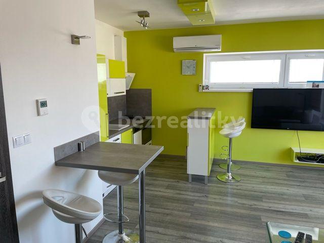 1 bedroom with open-plan kitchen flat to rent, 46 m², Hvozdecká, Brno, Jihomoravský Region