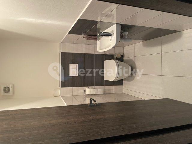 1 bedroom with open-plan kitchen flat to rent, 46 m², Hvozdecká, Brno, Jihomoravský Region