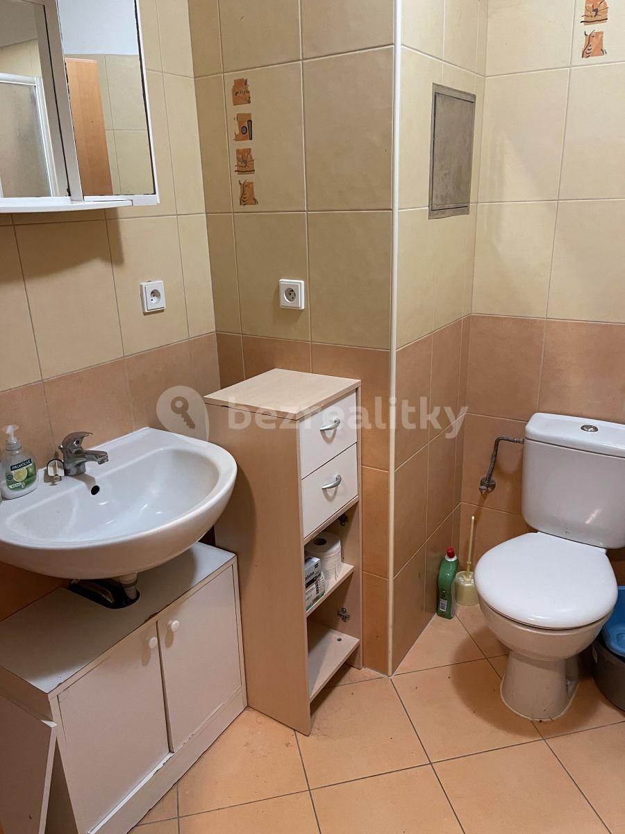 Studio flat to rent, 37 m², Trmická, Prague, Prague