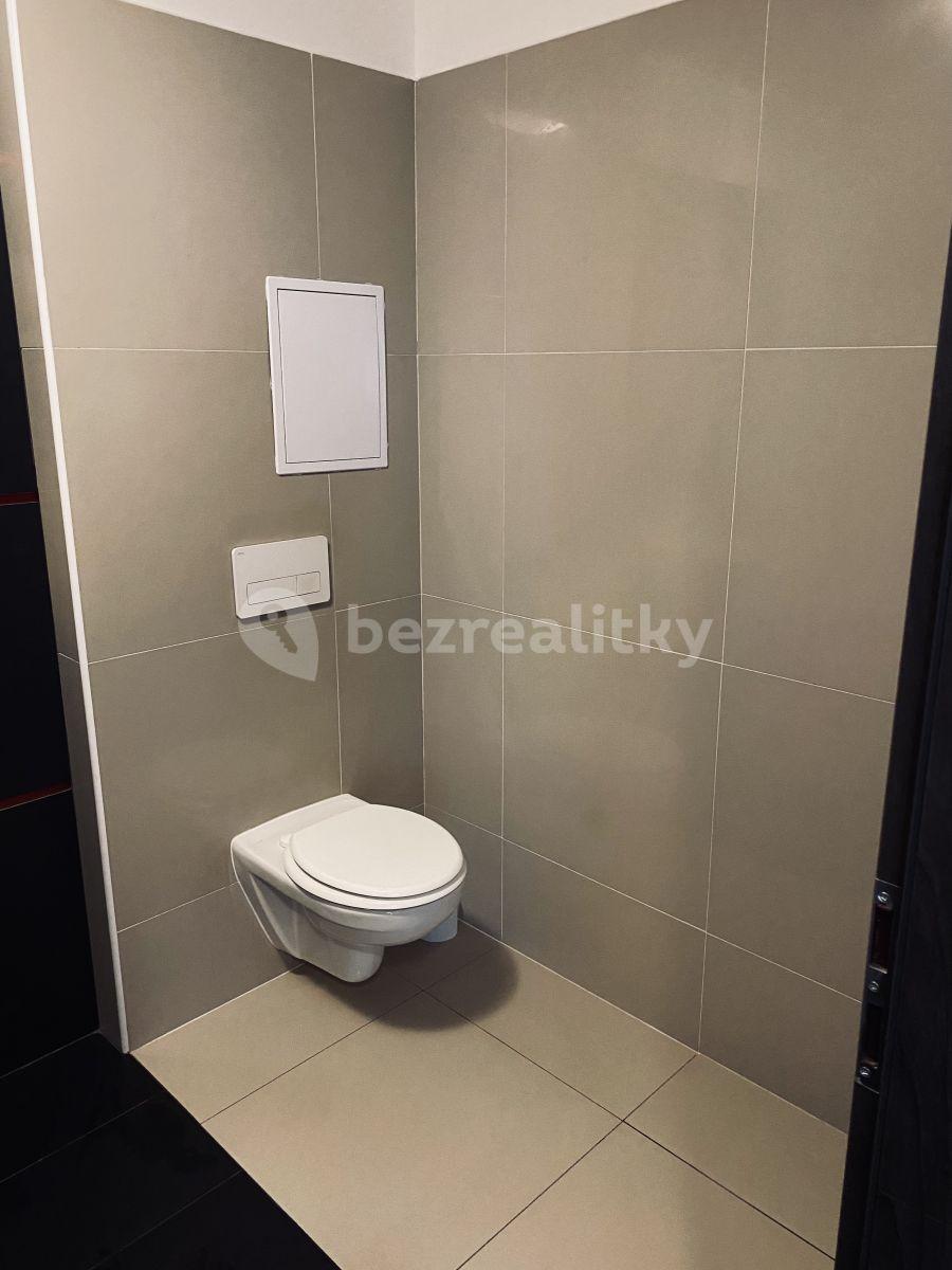 Studio flat to rent, 65 m², Mladá Boleslav, Středočeský Region