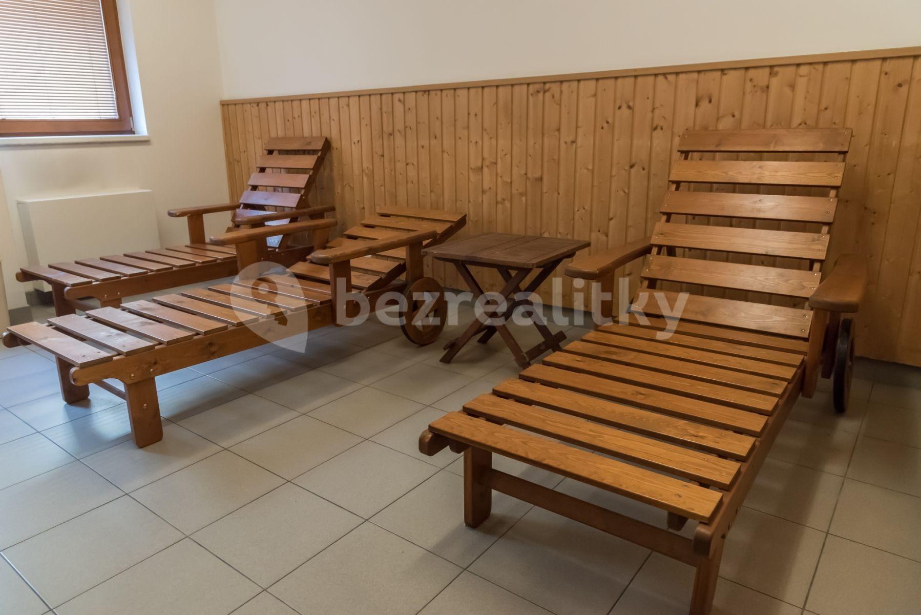 1 bedroom with open-plan kitchen flat to rent, 57 m², Kališnická, Prague, Prague