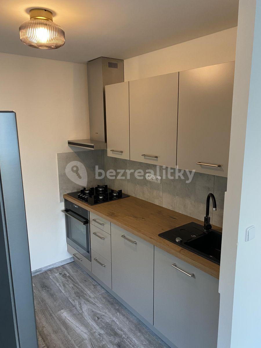 1 bedroom with open-plan kitchen flat to rent, 41 m², V Zápolí, Prague, Prague