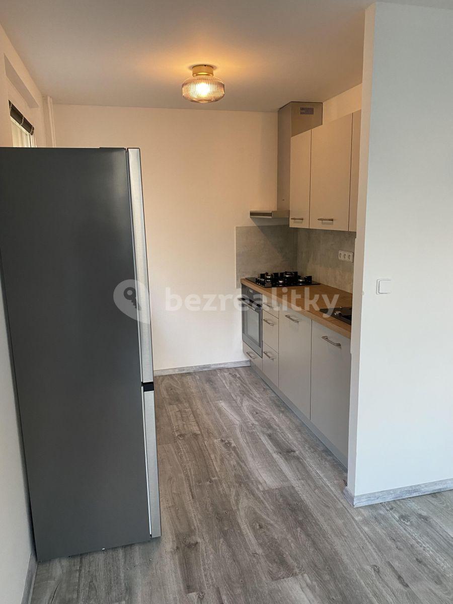 1 bedroom with open-plan kitchen flat to rent, 41 m², V Zápolí, Prague, Prague