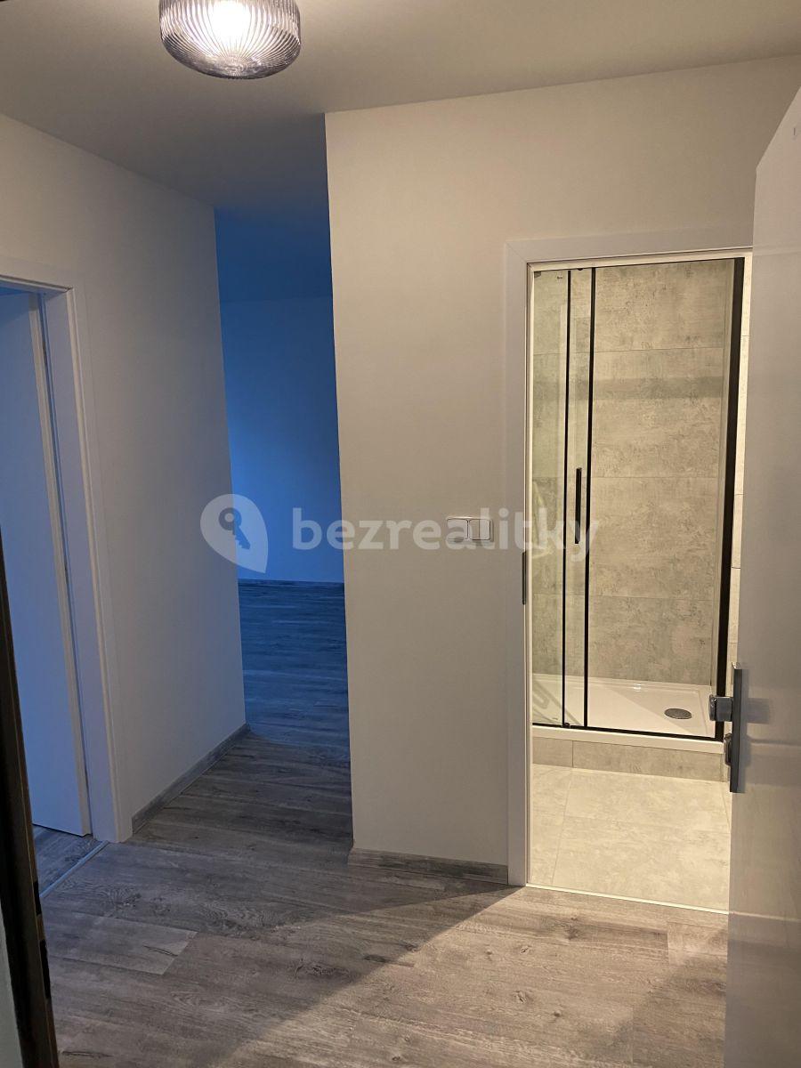 1 bedroom with open-plan kitchen flat to rent, 41 m², V Zápolí, Prague, Prague