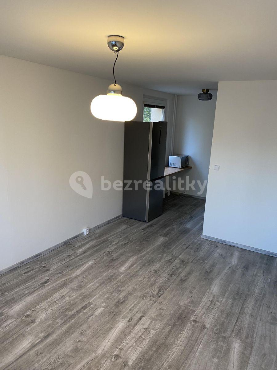 1 bedroom with open-plan kitchen flat to rent, 41 m², V Zápolí, Prague, Prague