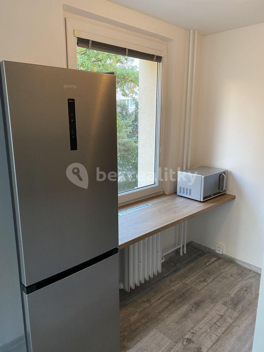 1 bedroom with open-plan kitchen flat to rent, 41 m², V Zápolí, Prague, Prague