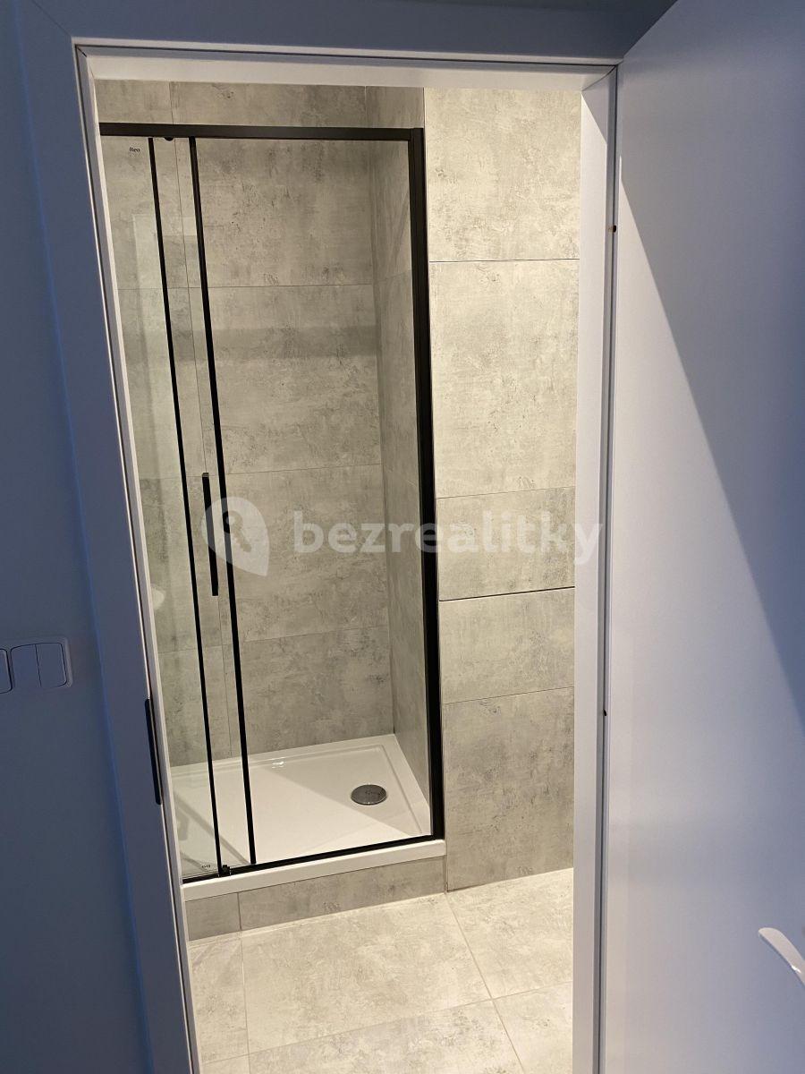 1 bedroom with open-plan kitchen flat to rent, 41 m², V Zápolí, Prague, Prague