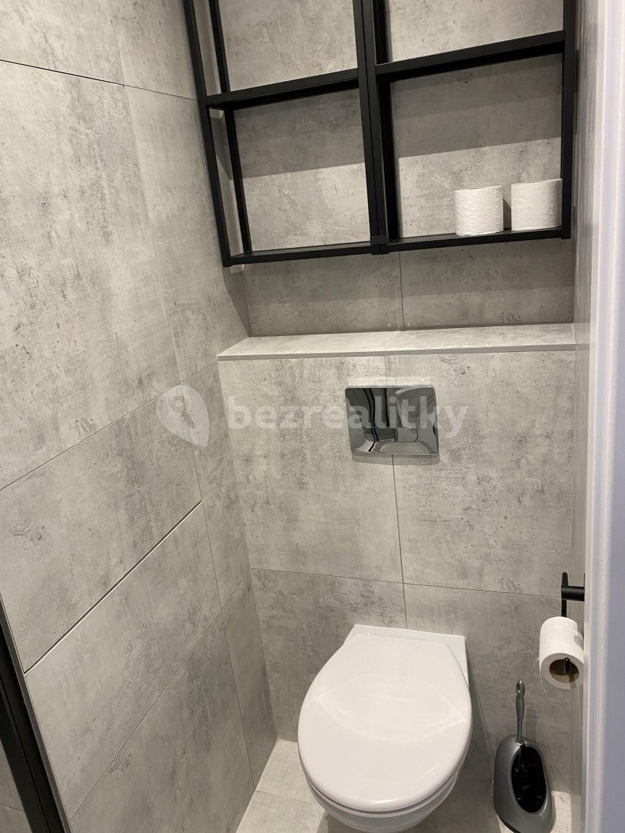 1 bedroom with open-plan kitchen flat to rent, 41 m², V Zápolí, Prague, Prague