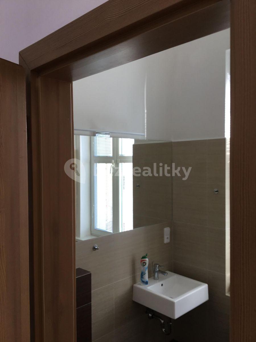 Studio flat to rent, 31 m², Zenklova, Prague, Prague