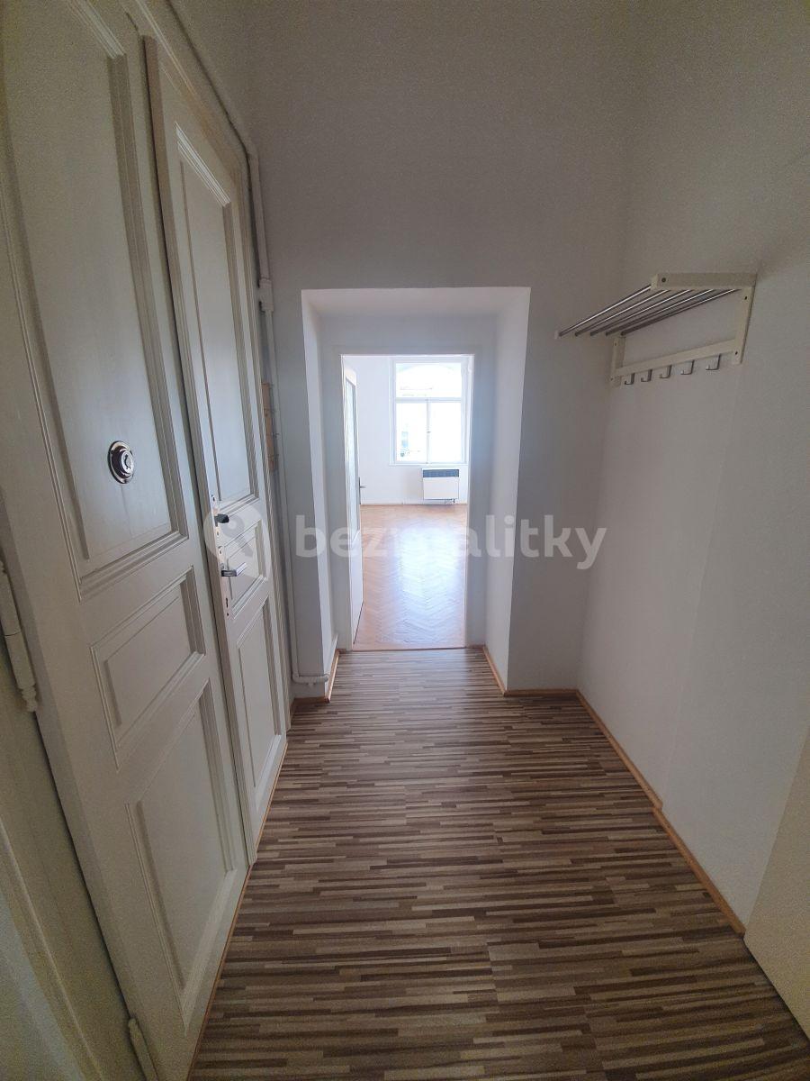 1 bedroom with open-plan kitchen flat to rent, 48 m², Šumavská, Prague, Prague