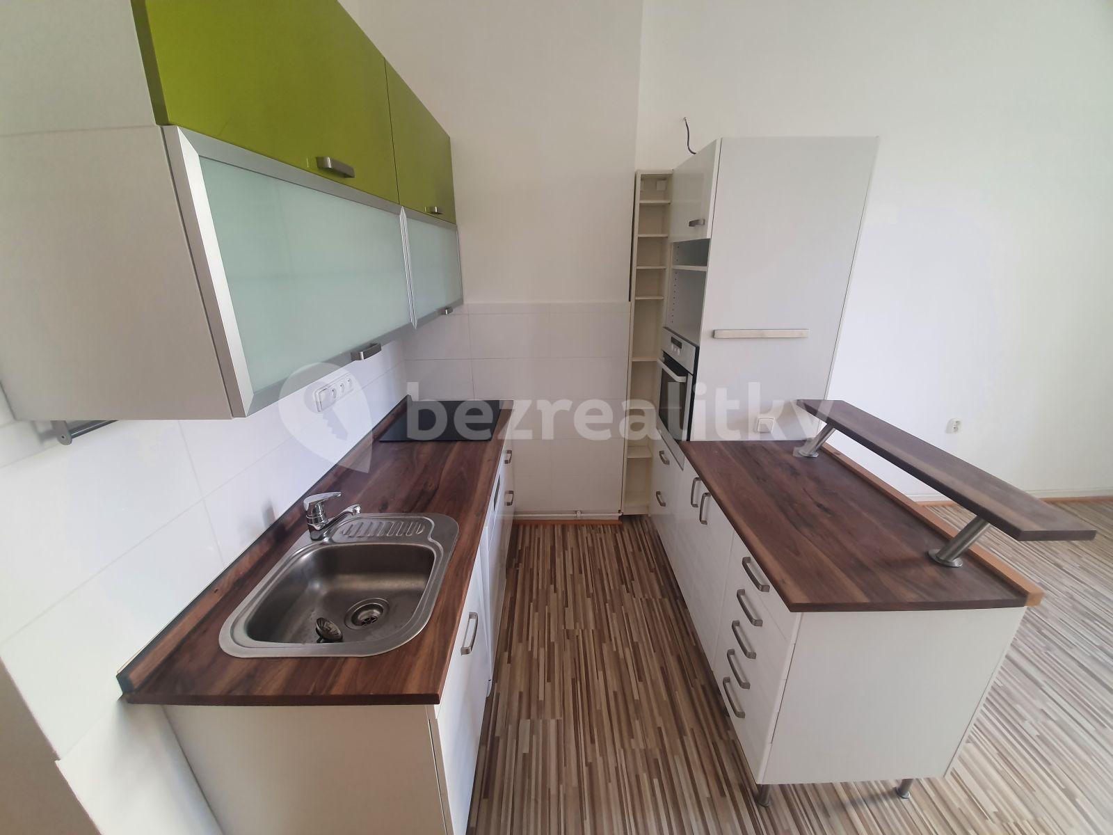 1 bedroom with open-plan kitchen flat to rent, 48 m², Šumavská, Prague, Prague