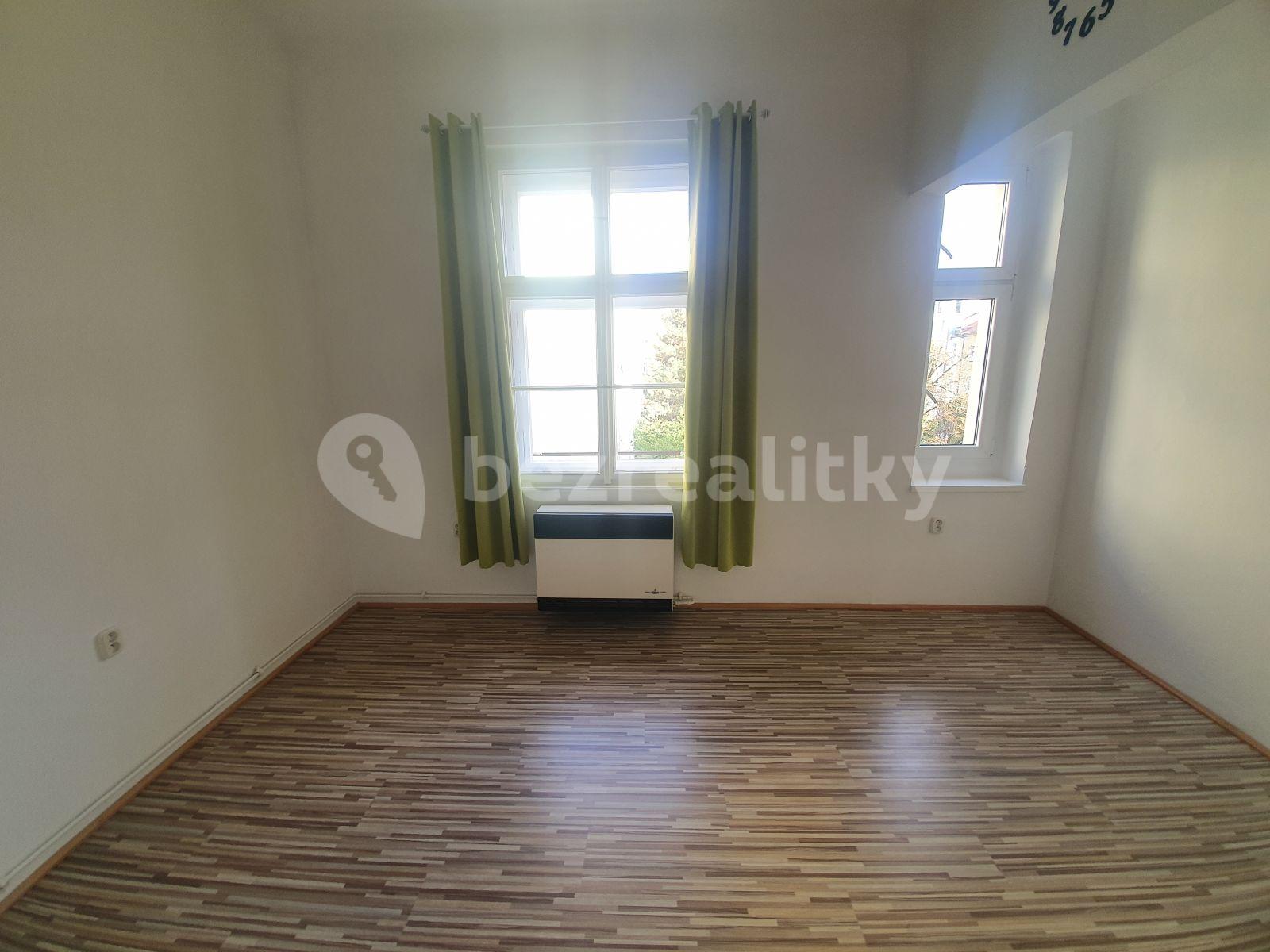 1 bedroom with open-plan kitchen flat to rent, 48 m², Šumavská, Prague, Prague