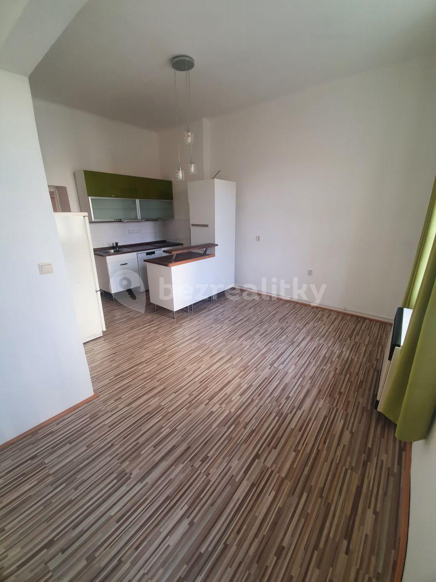 1 bedroom with open-plan kitchen flat to rent, 48 m², Šumavská, Prague, Prague