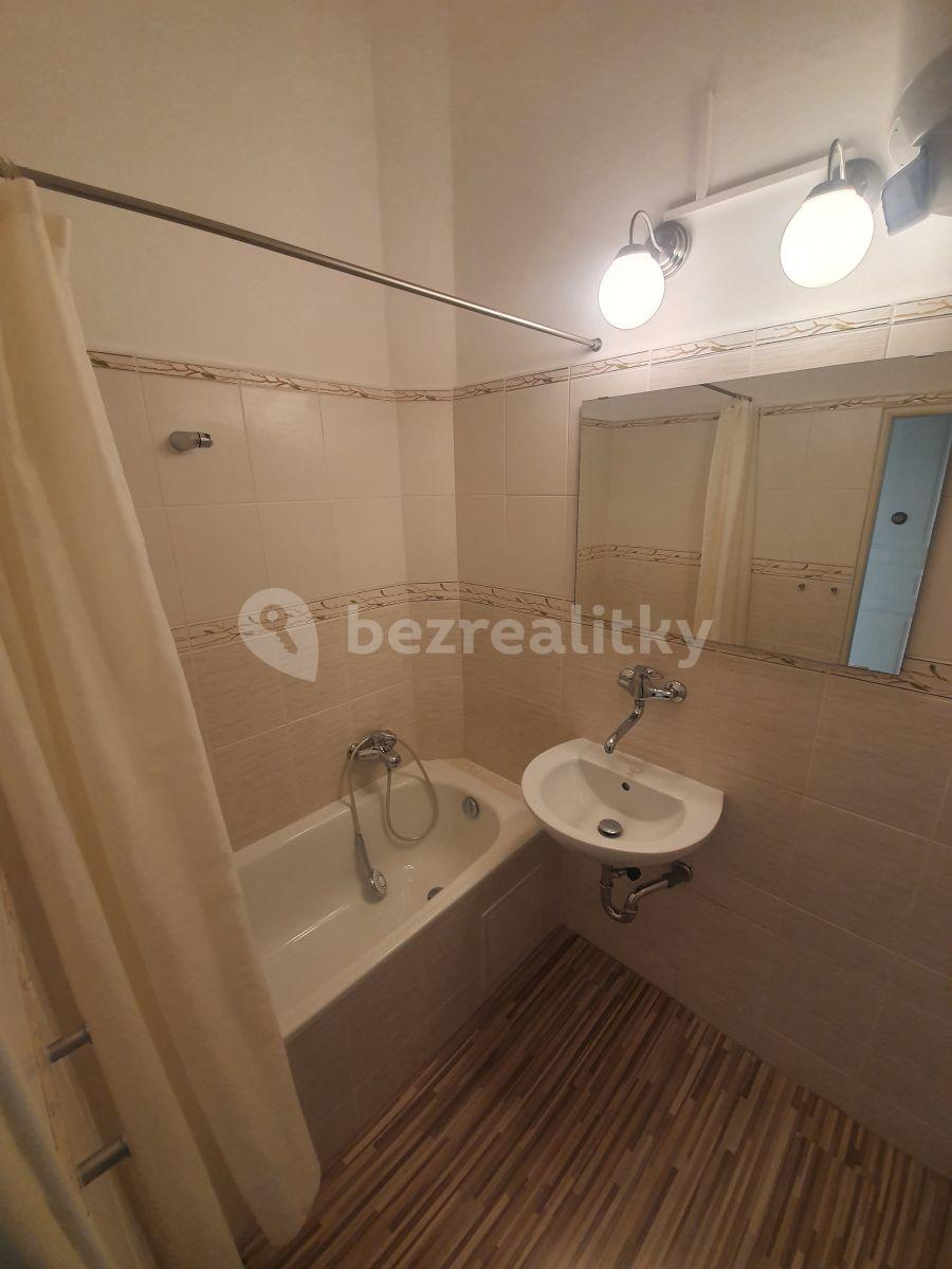 1 bedroom with open-plan kitchen flat to rent, 48 m², Šumavská, Prague, Prague