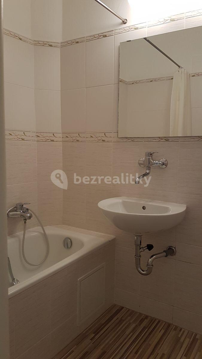 1 bedroom with open-plan kitchen flat to rent, 48 m², Šumavská, Prague, Prague