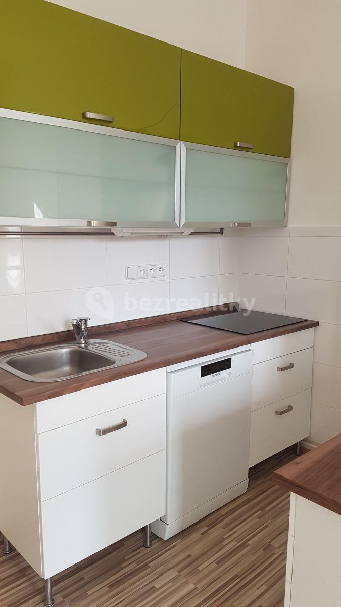 1 bedroom with open-plan kitchen flat to rent, 48 m², Šumavská, Prague, Prague