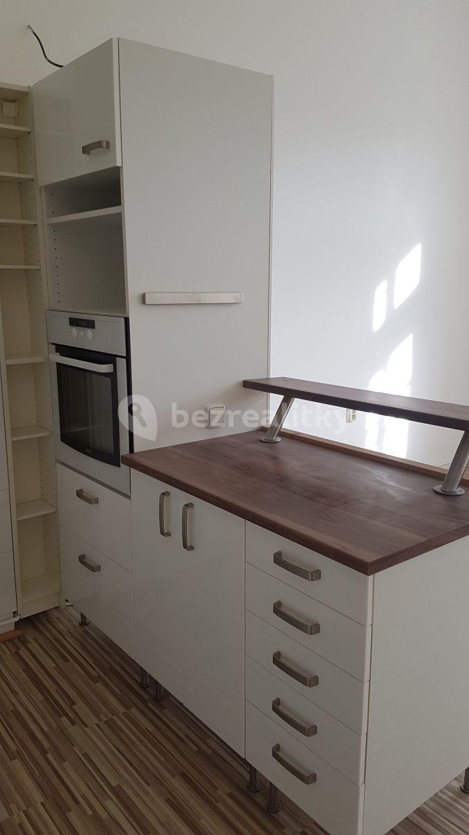 1 bedroom with open-plan kitchen flat to rent, 48 m², Šumavská, Prague, Prague