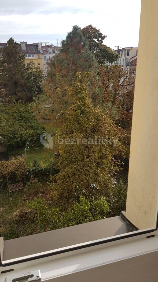 1 bedroom with open-plan kitchen flat to rent, 48 m², Šumavská, Prague, Prague