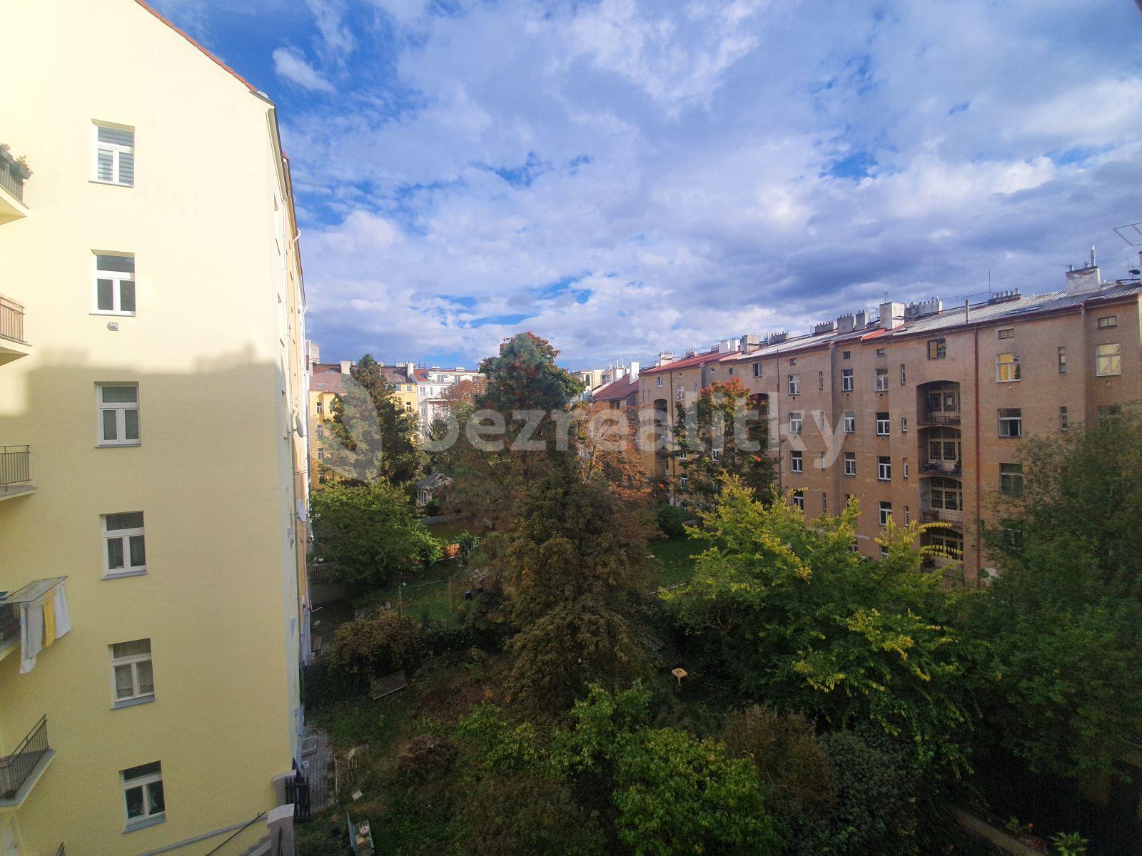 1 bedroom with open-plan kitchen flat to rent, 48 m², Šumavská, Prague, Prague