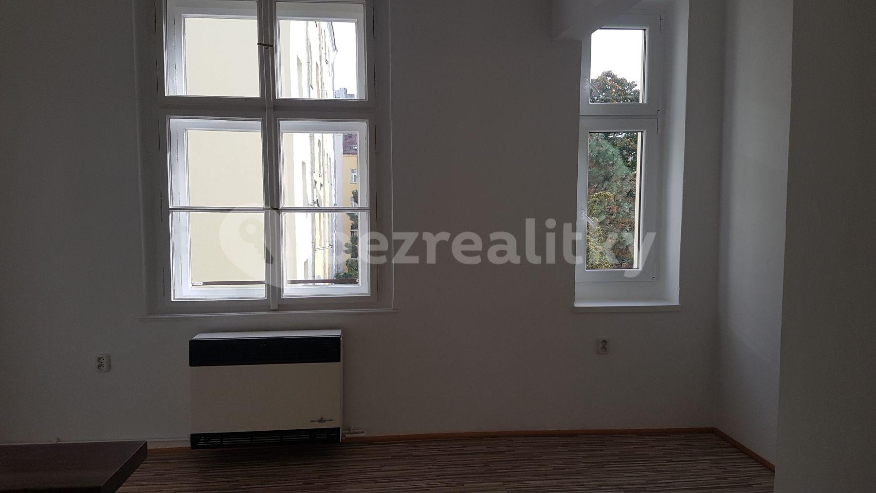 1 bedroom with open-plan kitchen flat to rent, 48 m², Šumavská, Prague, Prague