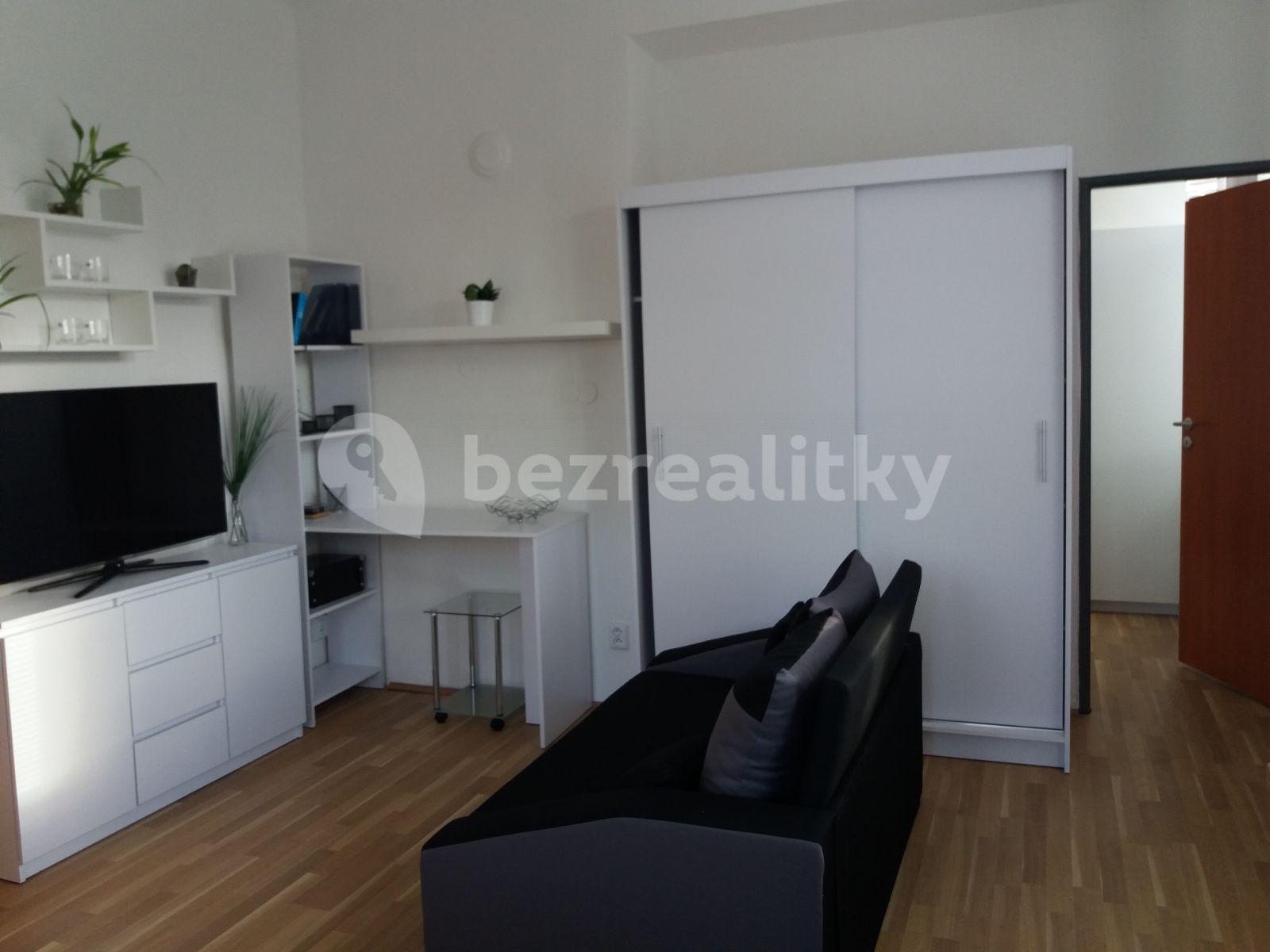 1 bedroom with open-plan kitchen flat to rent, 38 m², Na Okraji, Prague, Prague